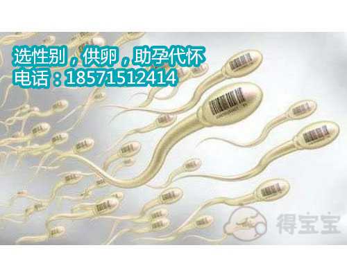 重庆正规的代怀妈妈公司,试管婴儿复苏期间可以同房吗