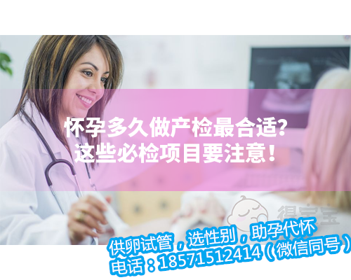 北京供卵试管公司哪家最好,试管婴儿医院全国排行